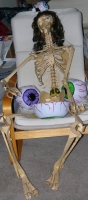 Harvey The Skeleton - Hallowe'en Pose