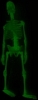 Small Glow-in-the-Dark Skeleton, Glowing