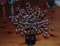 Apple Tree