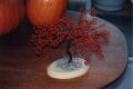 Autumn Tree