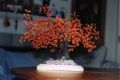 Autumn Tree