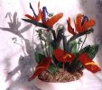 Birds of Paradise and Anthurium Arrangement