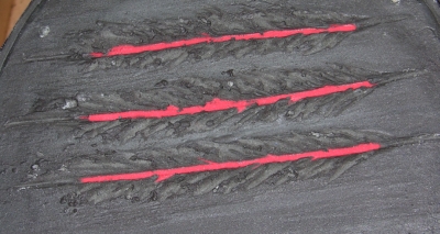 Clawed Underside