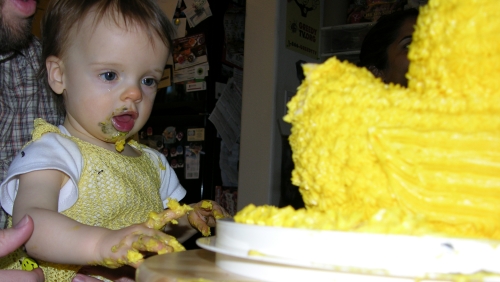 Duck Cake - Attacked by Baby