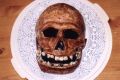 Fossilized Skull - Top View