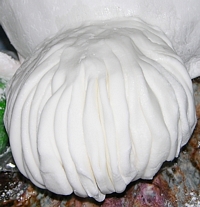 Making Shelob's Head - 4