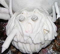 Making Shelob's Head - 7