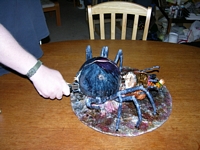 Painting and Finished - 6