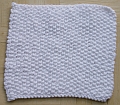 Dishcloth 2