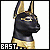 Bast