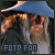 Lord of the Rings: Fellowship of the Ring