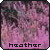 Heather