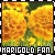 Marigolds
