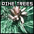 Pine Trees