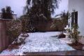 View of the backyard - Thumb